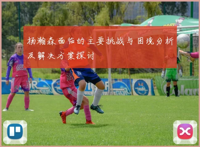 杨瀚森面临的主要挑战与困境分析及解决方案探讨