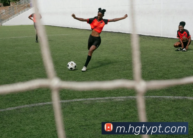 多媒体互动体验